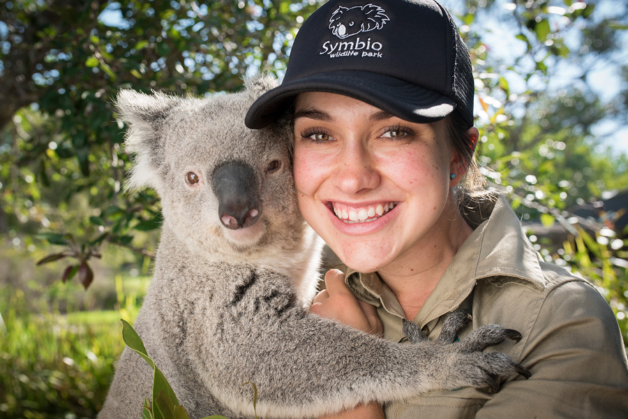 Symbio Willife park worker holding a koala