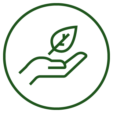 Hand with leaf green Icon