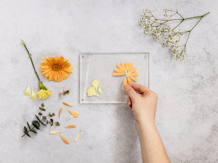 Flower suncatcher for kids