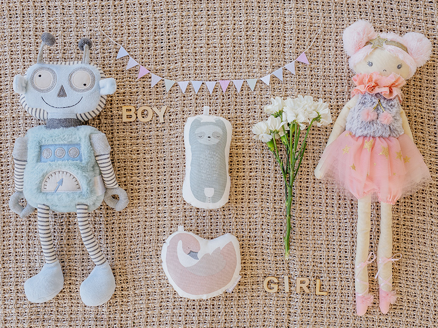 Gender Reveal Decorations